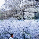 北京旅游 缩略图 10