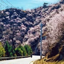 北京旅游 缩略图 3