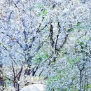 北京旅游 缩略图 1