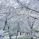 北京旅游 缩略图 11
