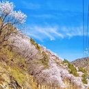 北京旅游 缩略图 1