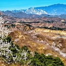 北京旅游 缩略图 7