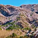北京旅游 缩略图 6