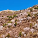 北京旅游 缩略图 8