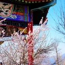 北京旅游 缩略图 6