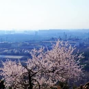 北京旅游 缩略图 8