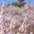 北京旅游 缩略图 9