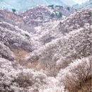 北京旅游 缩略图 1
