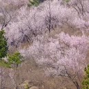 北京旅游 缩略图 2