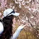 北京旅游 缩略图 4