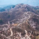 北京旅游 缩略图 3