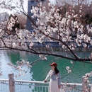 北京旅游 缩略图 1