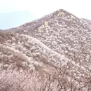 北京旅游 缩略图 7