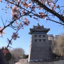 北京旅游 缩略图 9