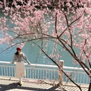 北京旅游 缩略图 3