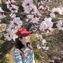 北京旅游 缩略图 6