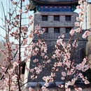 北京旅游 缩略图 4