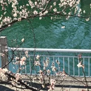 北京旅游 缩略图 11