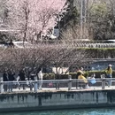 北京旅游 缩略图 10