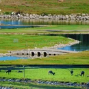 北京旅游 缩略图 4