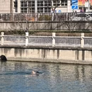 北京旅游 缩略图 14