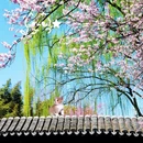 北京旅游 缩略图 10