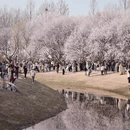 北京旅游 缩略图 2