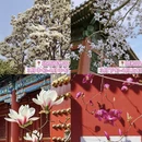北京旅游 缩略图 4