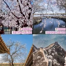 北京旅游 缩略图 5