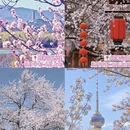 北京旅游 缩略图 2