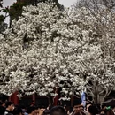 北京旅游 缩略图 3