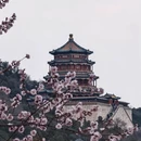北京旅游 缩略图 1