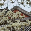 北京旅游 缩略图 4