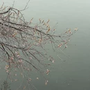 北京旅游 缩略图 1