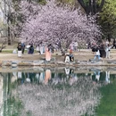 北京旅游 缩略图 14
