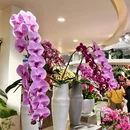 北京旅游 缩略图 7