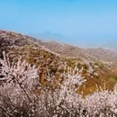北京旅游 缩略图 8