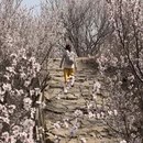 北京旅游 缩略图 2