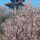 北京旅游 缩略图 9