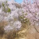 北京旅游 缩略图 11