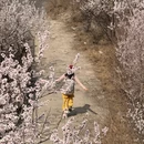 北京旅游 缩略图 5