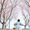 北京旅游 缩略图 1