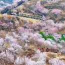 北京旅游 缩略图 2