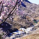 北京旅游 缩略图 9