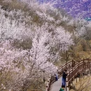 北京旅游 缩略图 5