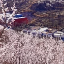 北京旅游 缩略图 10