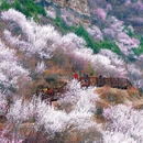 北京旅游 缩略图 7