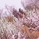 北京旅游 缩略图 8