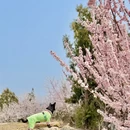 北京旅游 缩略图 1