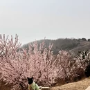 北京旅游 缩略图 5